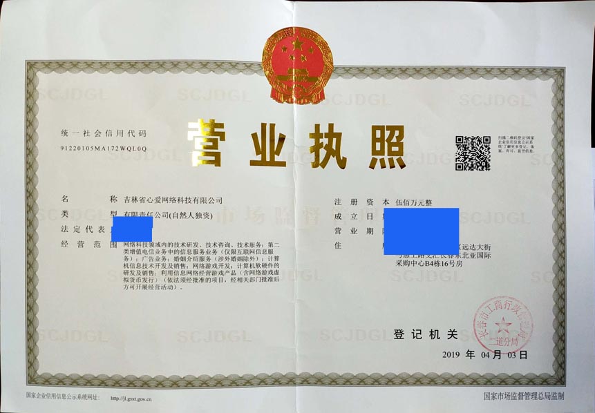 吉林省心某網絡科技的信息咨詢服務特性與實務分析