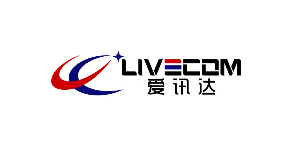 支持及其他相關配套服務,經濟信息咨詢及信息技術咨詢