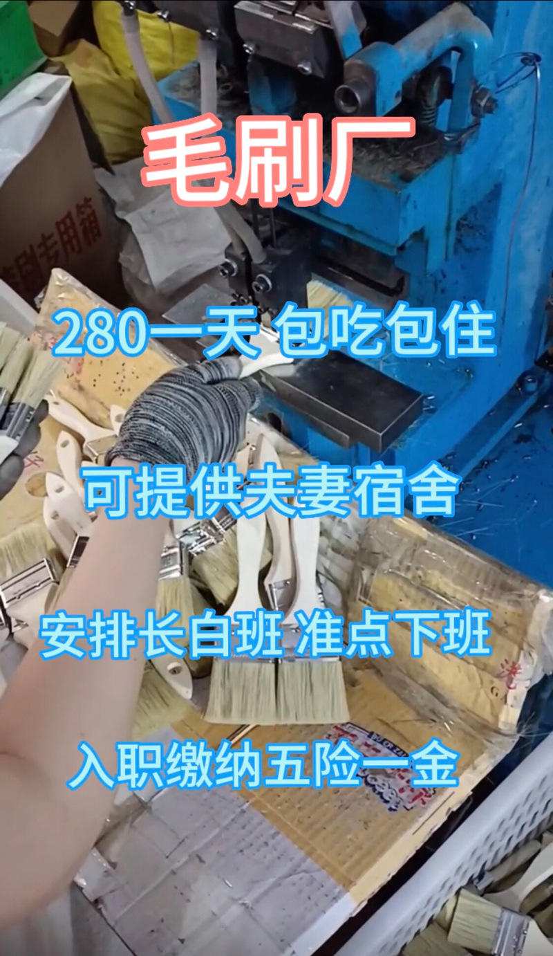 信息咨詢:這個美女來到看一眼就上手了#打工人 #找工作 #毛刷 #工廠